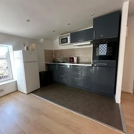 Le Leon Cladel T3 Proche Parking Gratuit * Montauban